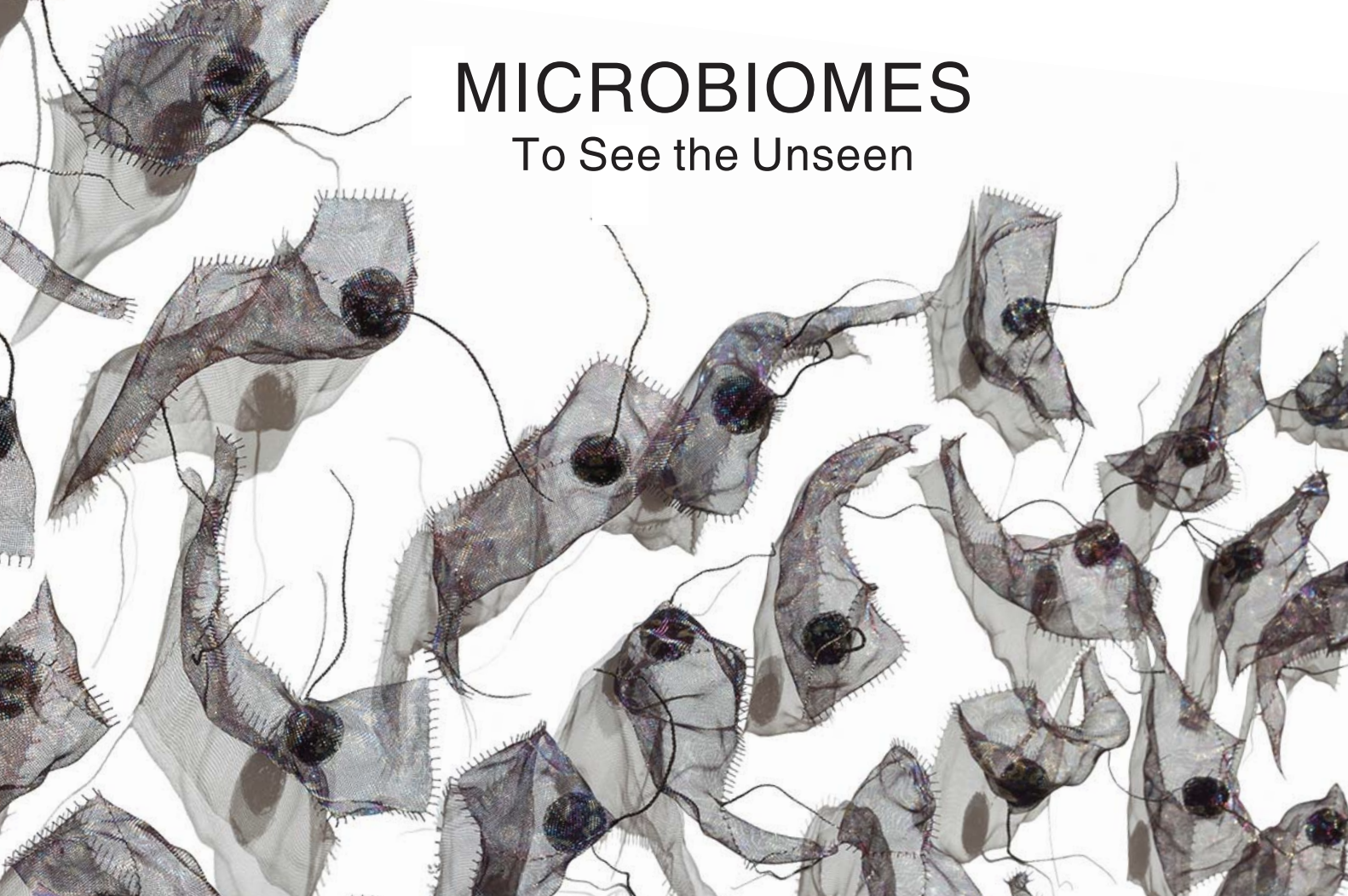 Microbiomes: To See the Unseen