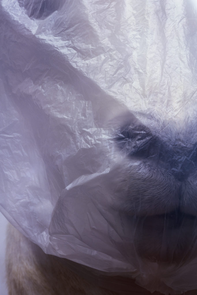 Mysterious image of a face peering through plastic sheeting