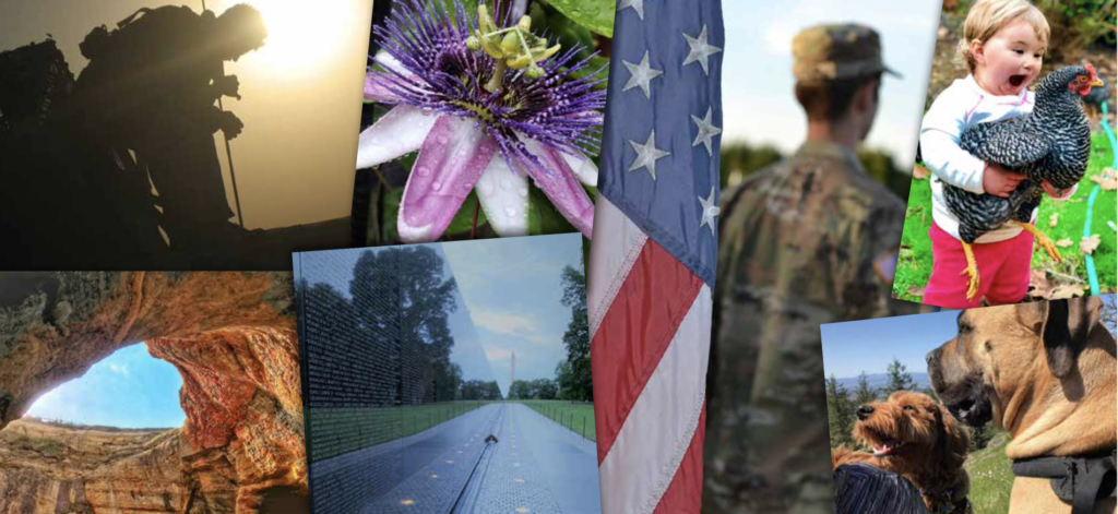 collage of images: nature, pet, people, veteran, flag