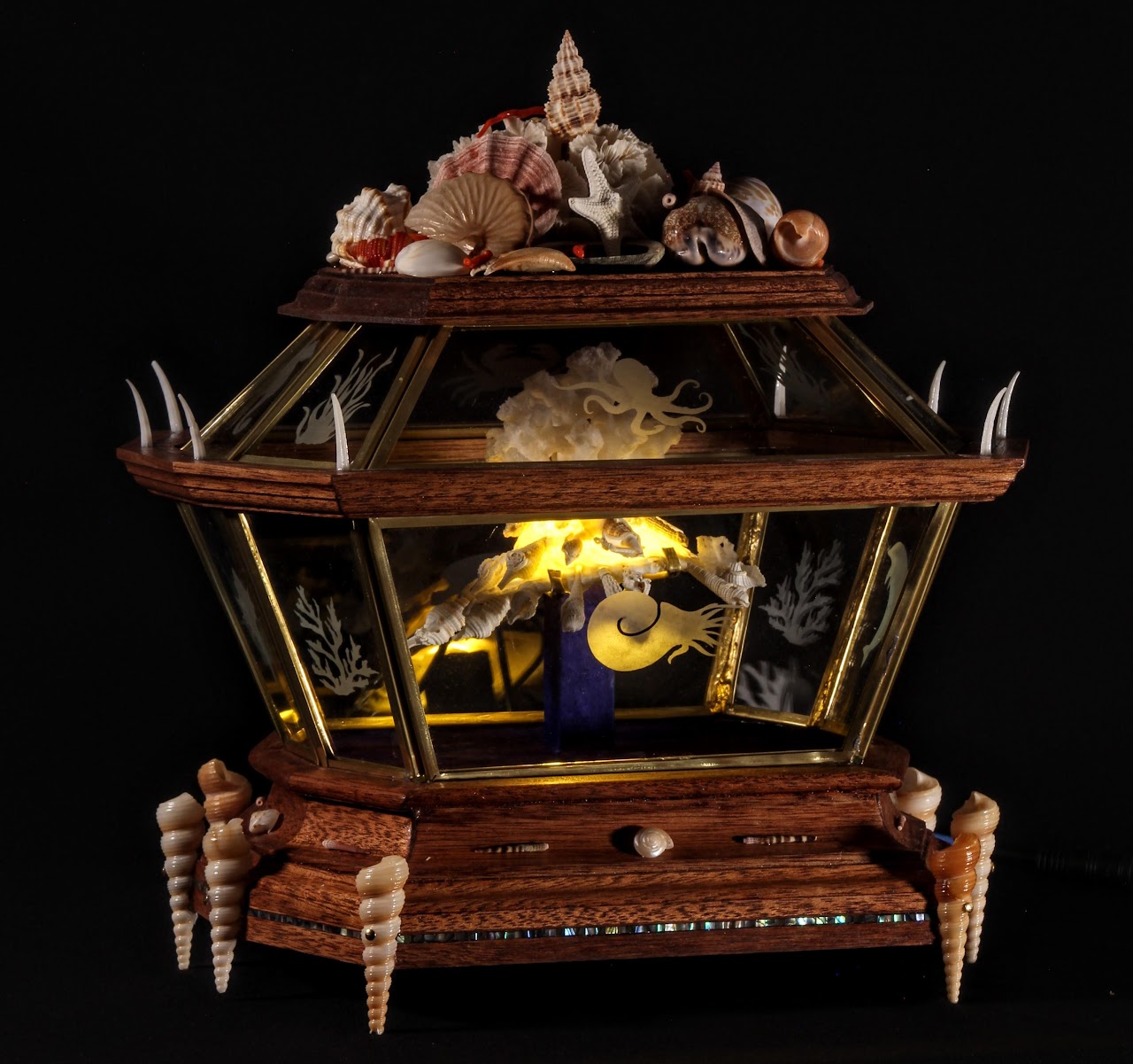 Charles F. Pitz – Solastalgia